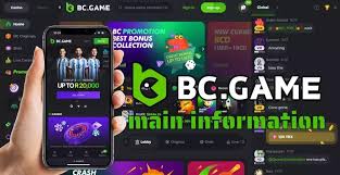 Experience the Thrill of Online Gaming with BC.Game