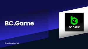 Understanding the Terms & Conditions of BC Game 2080218831
